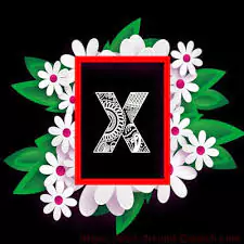 x letter images